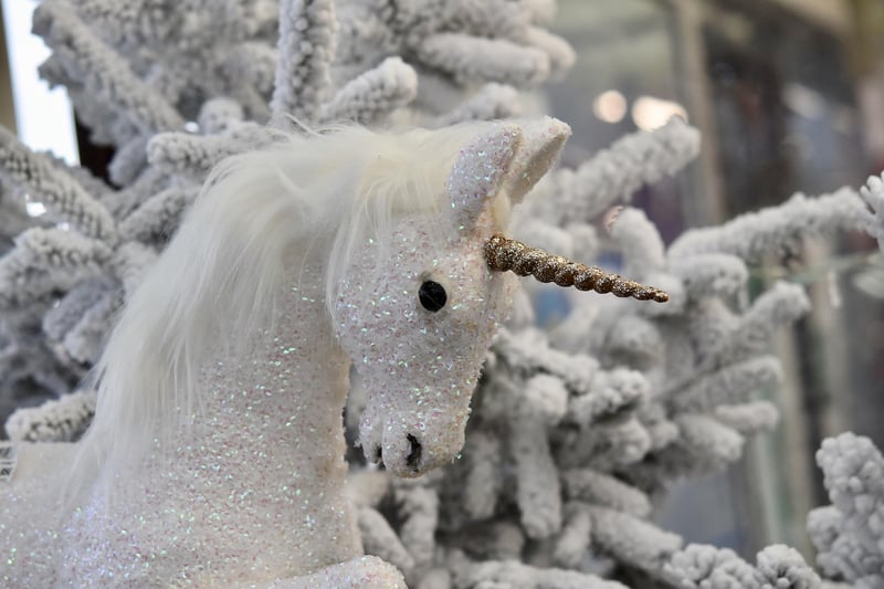 Unicorn Grooming